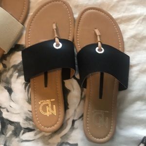 Black and Tan flip flops